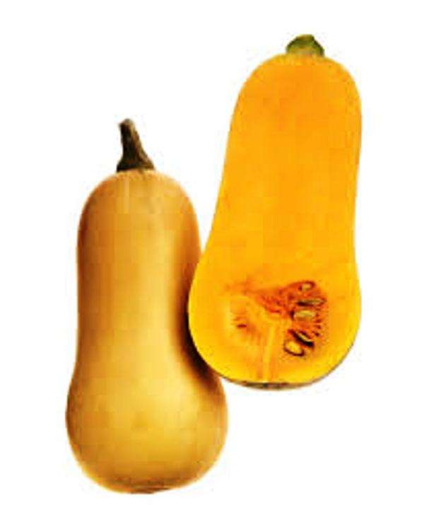 VEGETABLES - BUTTERNUT SQUASH (10 SEEDS)