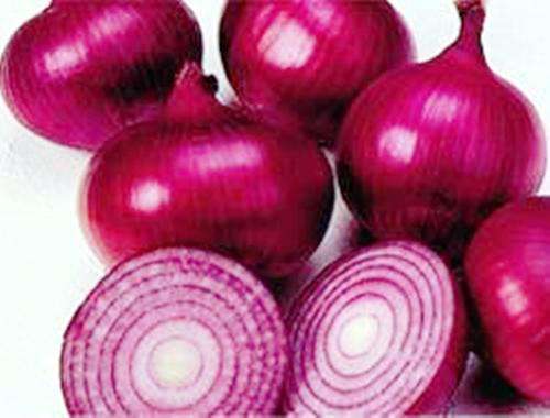 HEIRLOOM VEGETABLE SEEDS - RED CREOLE ONION - 20 SEEDS