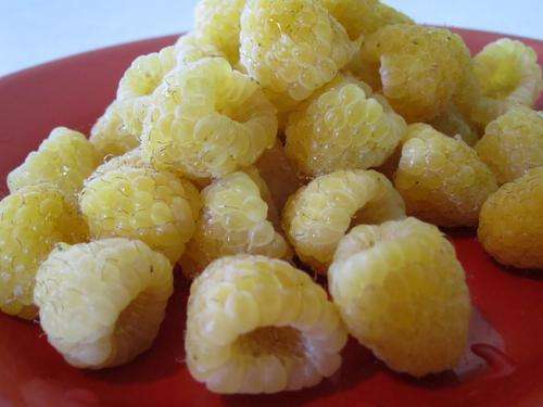 WHITE RASPBERRY SEEDS