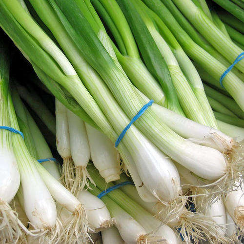 VEGETABLES - SPRING ONION - (20 SEEDS)