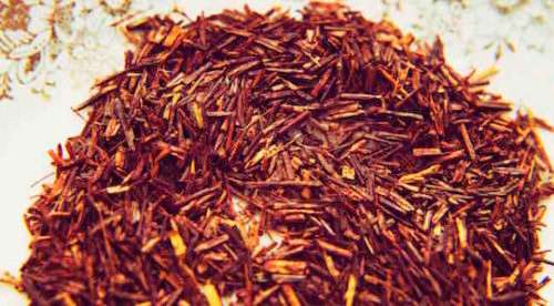 ROOIBOS TEA PLANT 10 SEEDS - Aspalathus linearis   - 10 SEEDS