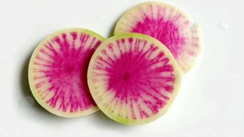 WATERMELON RADISH  10 SEEDS