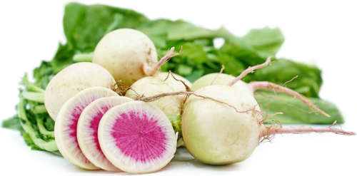 WATERMELON RADISH  10 SEEDS
