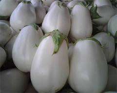 WHITE EGGPLANT - 20 SEEDS