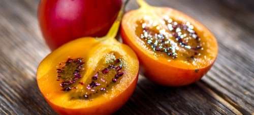 TAMARILLO / TREE TOMATO (Cyphomandra betacea)  15 SEEDS