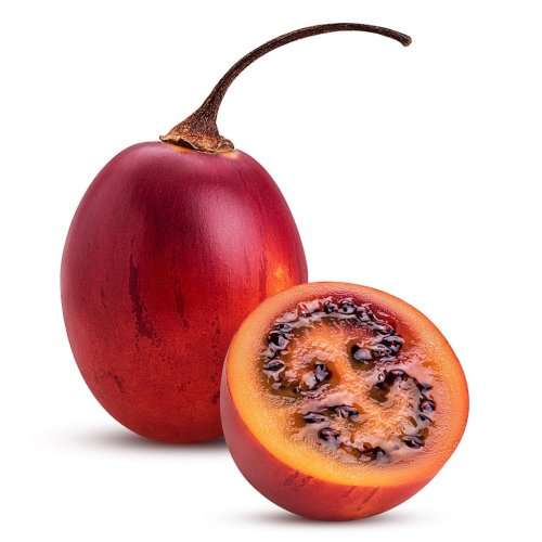 TAMARILLO / TREE TOMATO (Cyphomandra betacea)  15 SEEDS