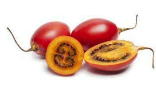 TAMARILLO / TREE TOMATO (Cyphomandra betacea)  15 SEEDS