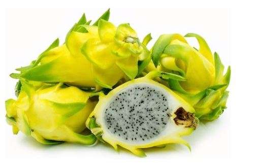 Dragon Fruit / Pitaya 20 Seeds  -  Pitaya Amarilla  " Yellow  & White