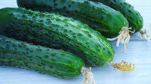 VEGETABLE SEEDS - Sweet Slice Improved cucumber seed pack (30 SEEDS)