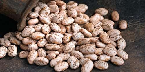 PINTO BEAN    - 30 SEEDS