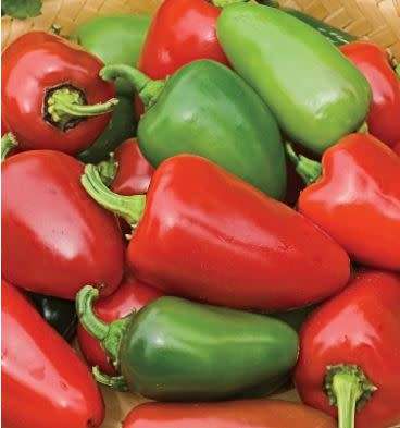 BILLY THE BIKER  Capsicum Chilies -  20 Seeds