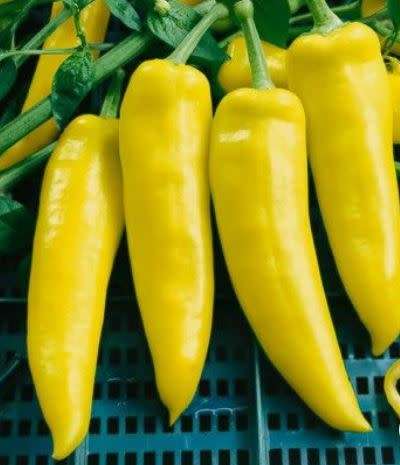 YELLOW PAPRIKA   -  30 SEEDS