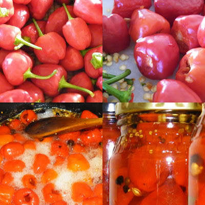 PEPPERDEW  SWEET PEPPERS - 10 SEEDS