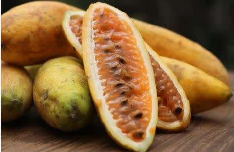 BANANA PASSION FRUIT / CURUBA(Passiflora tarminiana)  5 SEEDS