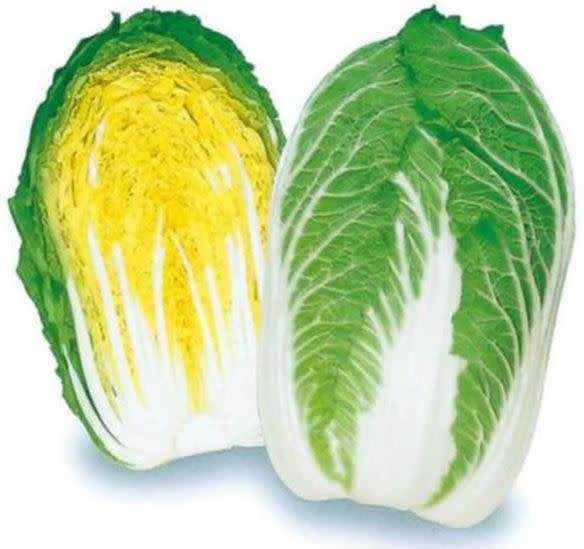 Pe Tsai / Michilli /  Hakusai / Wong Bok /  Chinese Vegetable Greens - 30 Seeds  - Heirloom
