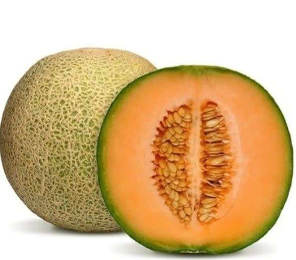 Malaysian Rock Melon /  Cucumis Melo Var. Cantalupo  - 30 Seeds