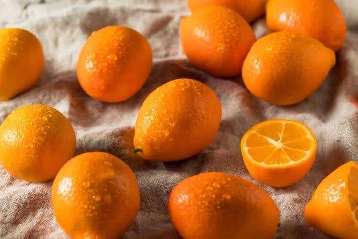 FUKUSHU KUMQUAT - `FORTUNELLA OBOVATA`  10 SEEDS
