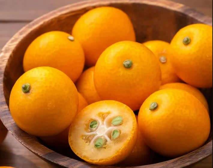 FUKUSHU KUMQUAT - `FORTUNELLA OBOVATA`  10 SEEDS