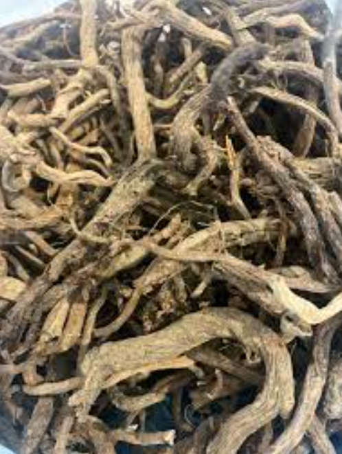 FLOWERS -  ECHINEA ANGUSTIOLIA  / KANSAS SNAKEROOT - 15 SEEDS  medicinal