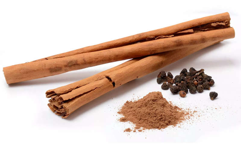 HERBS - CINNAMON TREE / TRUE SRI LANKA CINNAMON / Cinnamomum verum - 5 SEEDS