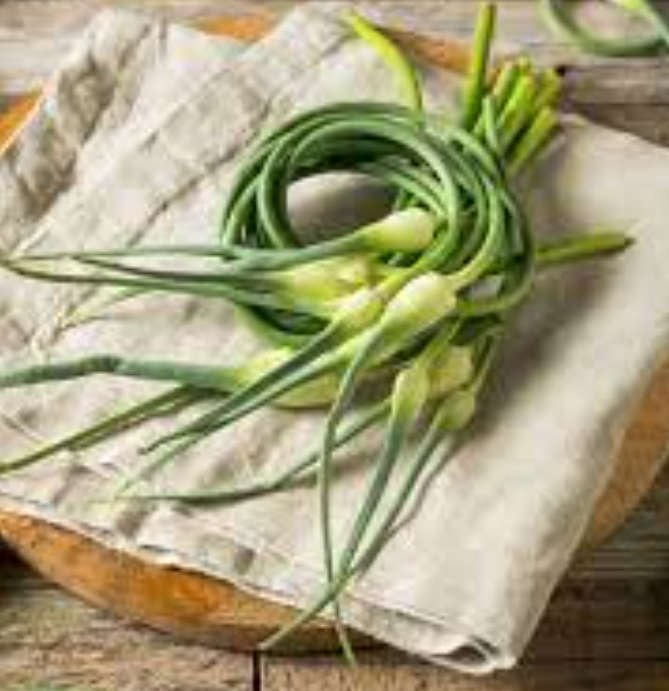 GARLIC CHIVES  /  CHINESE CHIVES / KU CHAIR / NIRA    -  10 SEEDS -  culinary & medicinal uses