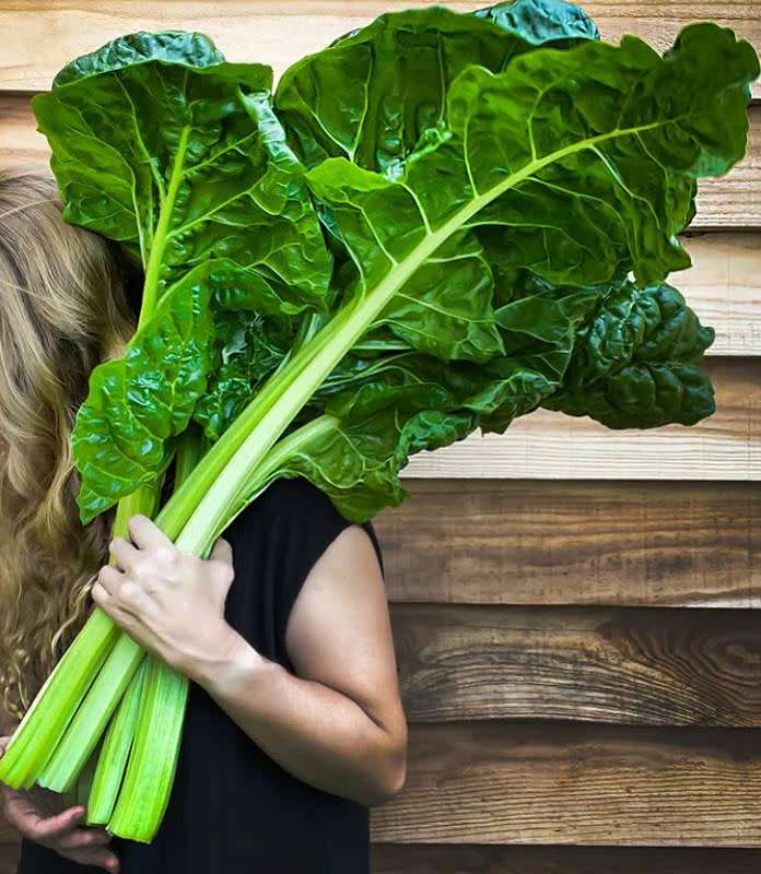 GIANT SWISS CHARD  "FORDHOOK GIANT"     - 30 SEEDS