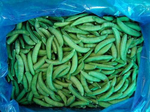 GREEN BEAN SEEDS  (Lazy Housewife)