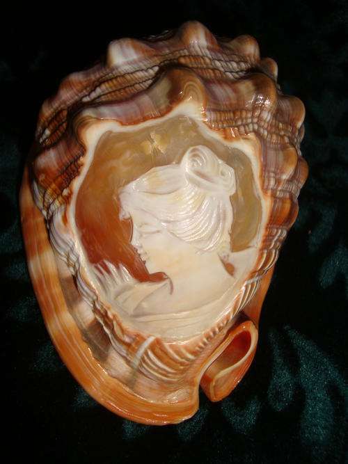 vintage CONCH SHELL with hand carved CAMEO PENDANT - dont see them often !!!!