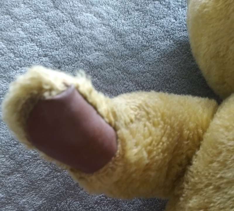 vintage Teddy Bear with moveable neck arms and legs