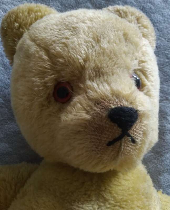 vintage Teddy Bear with moveable neck arms and legs