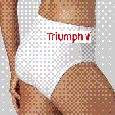 ## TRIUMPH  ##  BARGAIN  ##  5 FULL BRIEF BODY COMFORT in a pack ##