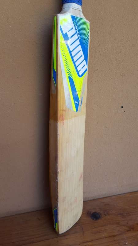 Awesome cricket set in a bag.