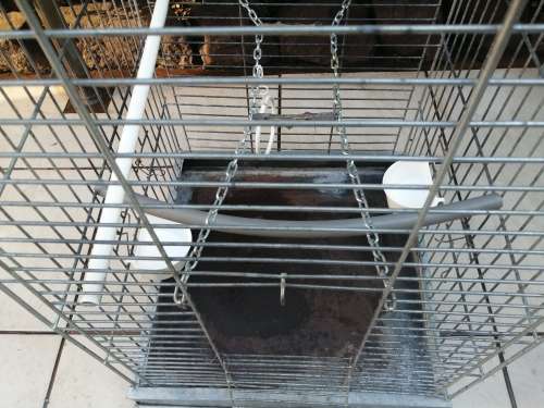 Metal parrot cage.