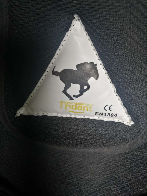 Beautiful Trident horse riding hat.