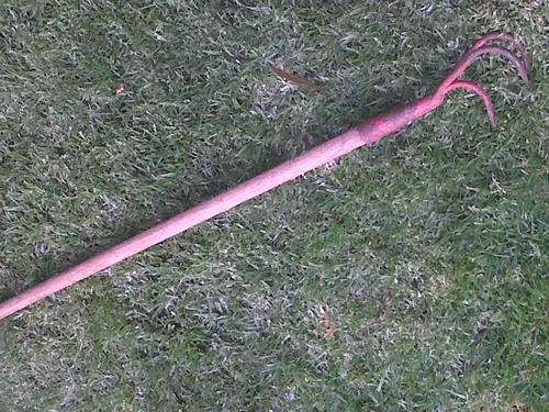 OLD GARDEN HOE