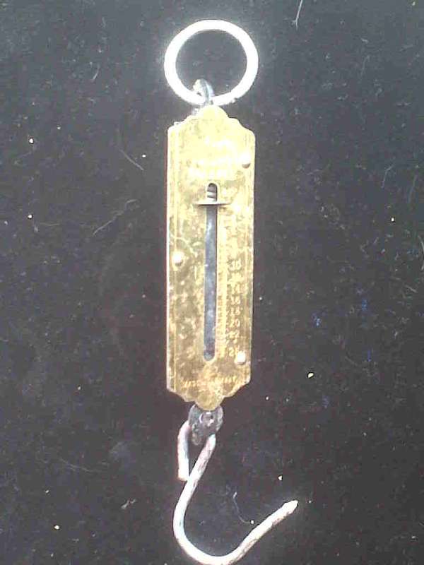 HANGING FISH SCALE