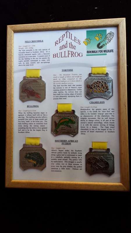 Framed Reptiles and Bullfrogs medals.