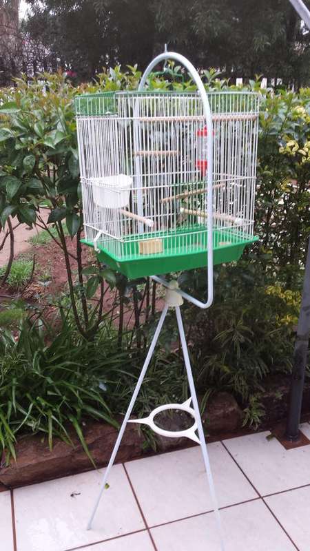 Green bird cage.