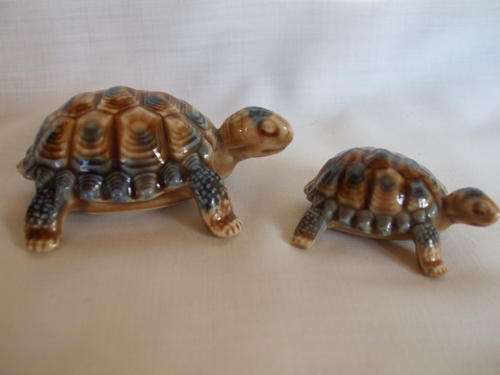 Set of Wade Tortoises