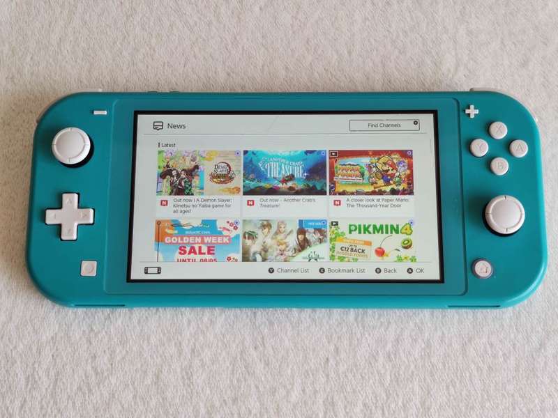 Nintendo Switch Lite Console