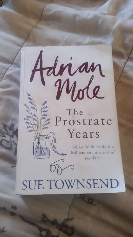 Sue Townsend: Adrian Mole The Prostrate Years