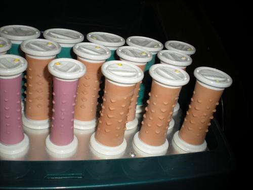 clairol hot dot curlers -