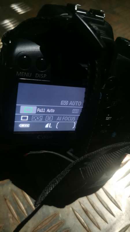Canon 1000D