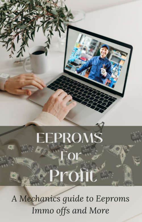 Eeproms and Immo offs E Book Plus Immo off learning kit