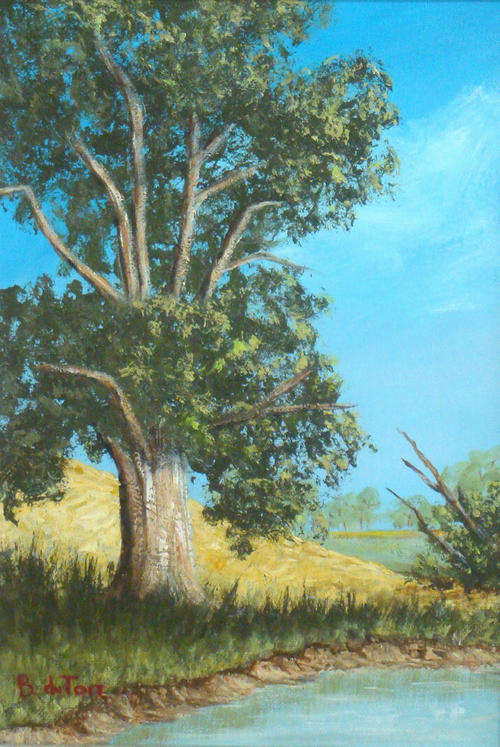 "CALM WATERS" painted by B. du Toit.  Original. African Bushveld. Size 300mm x 210mm