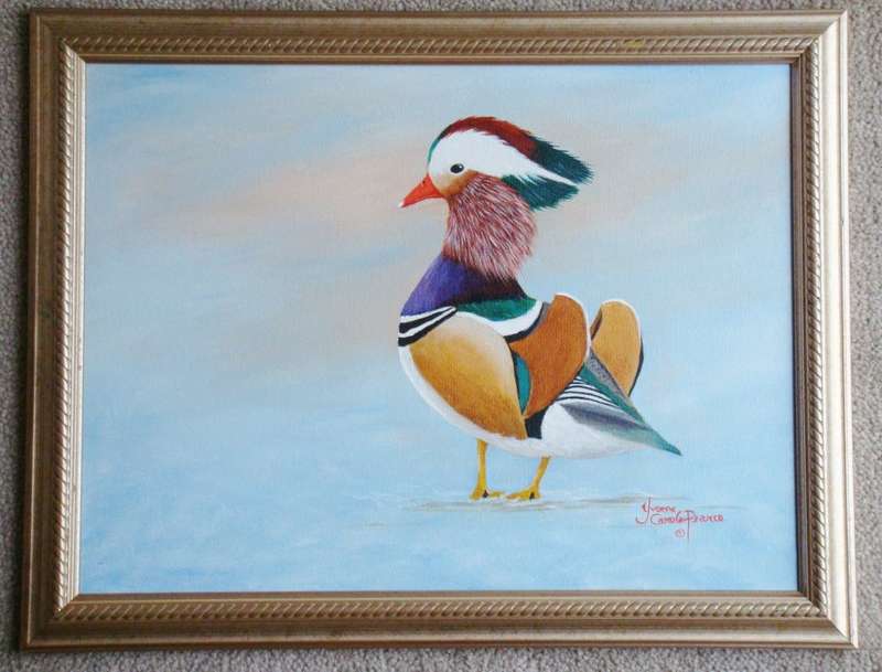 `MANDARIN DUCK`  - Beautifully framed  -   Painted by Yvonne Carola-Pearce  -  Size 450mm x 350mm
