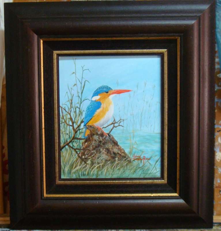`KING FISHER`  - BEAUTIFULLY FRAMED - by Yvonne Carola-Pearce - ORIGINAL OIL - SIZE 550mm x 500mm