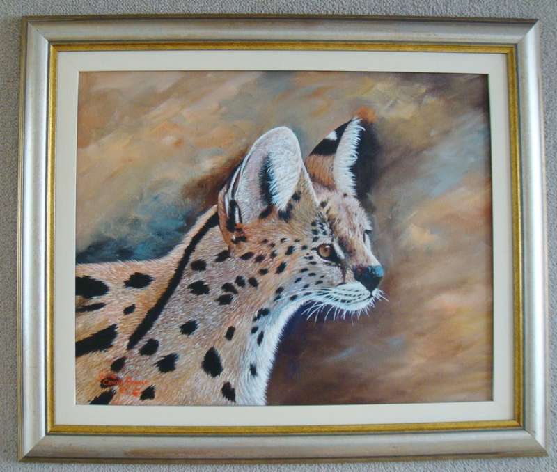 `CERVAL CAT`  -  BEAUTIFULY FRAMED OIL - ORIGINAL !!  by  Yvonne Carola-Pearce - Size 650mm x 540mm