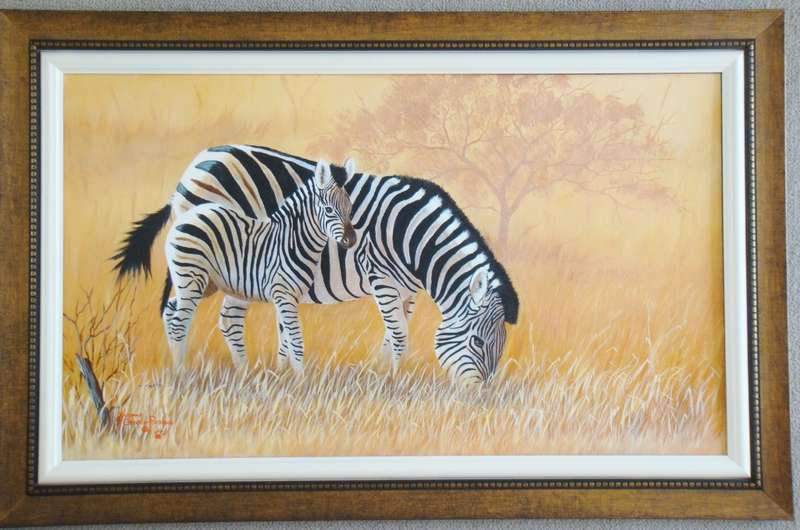 `ZEBRA MOM & BABY`  -  BEAUTIFULY FRAMED OIL -  by  Yvonne Carola-Pearce - Size 890mmx 580mm
