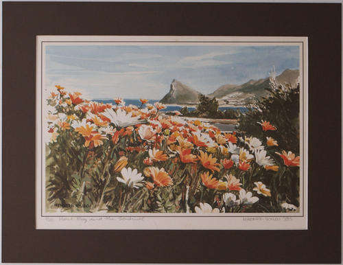 MYNDERD VOSLOO Limited Edition Print 1985 'Hout Bay and the Sentinel' - signed by artist